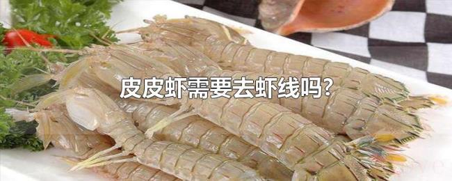 皮皮虾需要去虾线吗? 皮皮虾需要去虾线吗?
