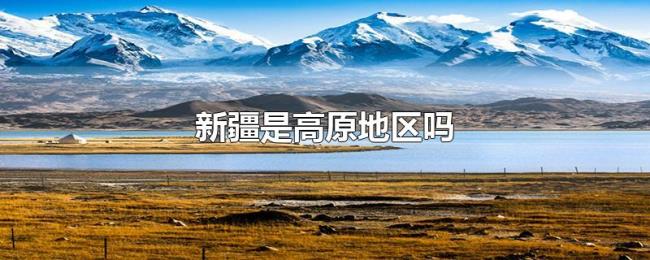 新疆是高原地区吗