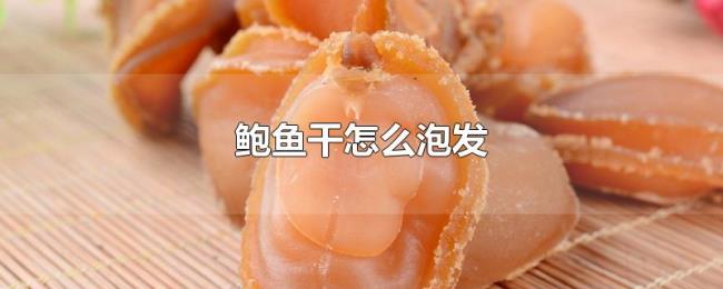 鲍鱼干怎么泡发 鲍鱼干怎么泡发