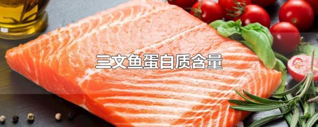 三文鱼蛋白质含量