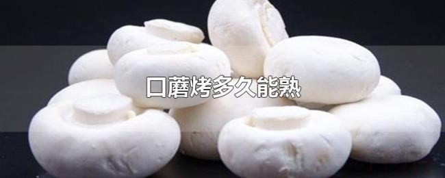口蘑烤多久能熟