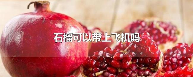 石榴可以带上飞机吗 石榴可以带上飞机吗