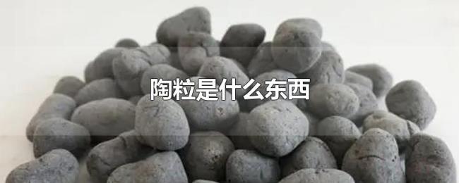 陶粒是什么东西 陶粒是什么东西