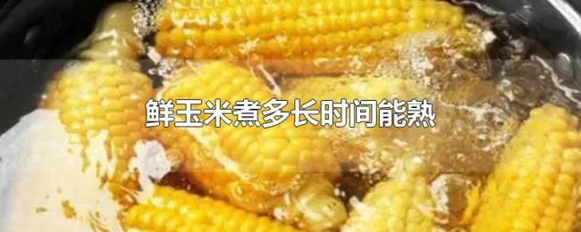 鲜玉米煮多长时间能熟