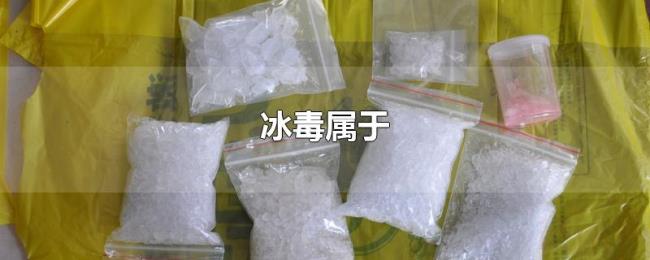 冰毒属于 冰毒属于