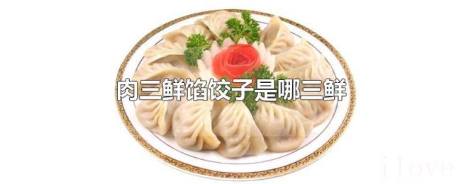 肉三鲜馅饺子是哪三鲜 肉三鲜馅饺子是哪三鲜