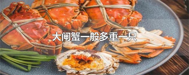 大闸蟹一般多重一只 大闸蟹一般多重一只