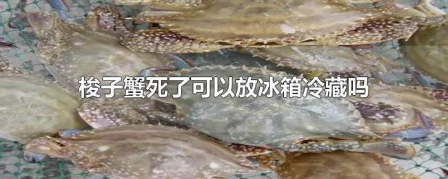 梭子蟹死了可以放冰箱冷藏吗