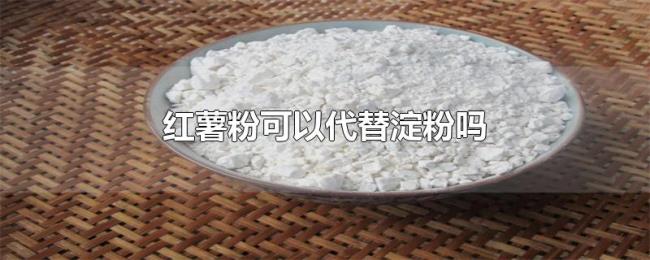 红薯粉可以代替淀粉吗 红薯粉可以代替淀粉吗
