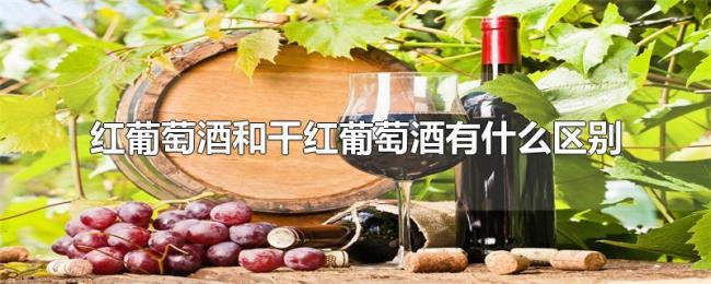 红葡萄酒和干红葡萄酒有什么区别 红葡萄酒和干红葡萄酒有什么区别