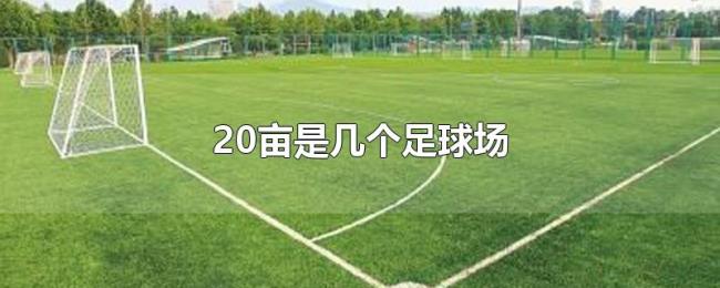 20亩是几个足球场