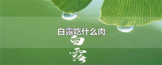 白露吃什么肉