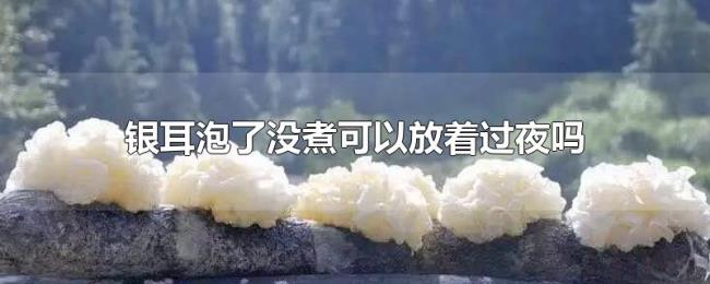 银耳泡了没煮可以放着过夜吗