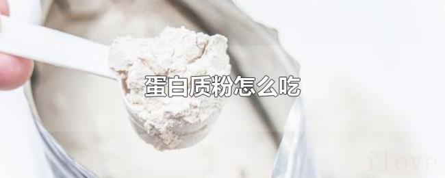 蛋白质粉怎么吃