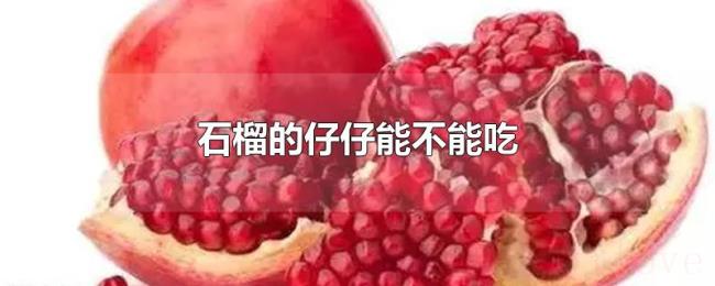 石榴的仔仔能不能吃 石榴的仔仔能不能吃