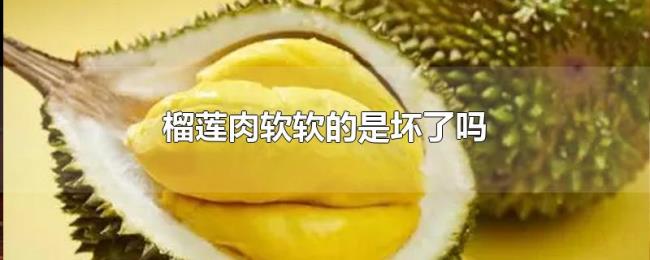 榴莲肉软软的是坏了吗 榴莲肉软软的是坏了吗
