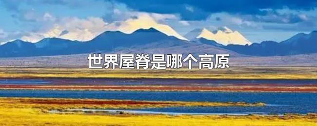 世界屋脊是哪个高原