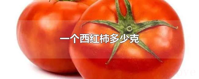 一个西红柿多少克 一个西红柿多少克