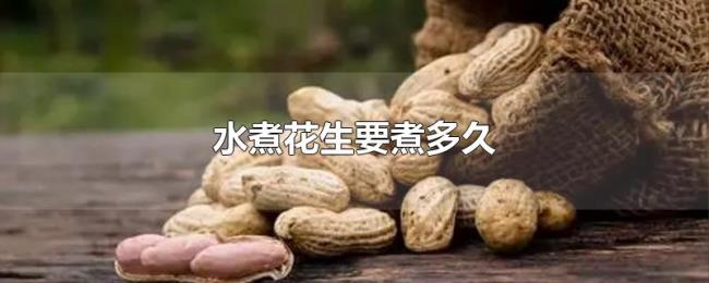 水煮花生要煮多久 水煮花生要煮多久