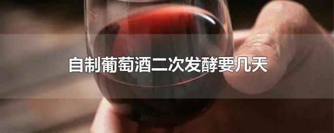 自制葡萄酒二次发酵要几天