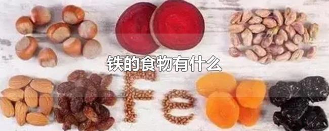 铁的食物有什么