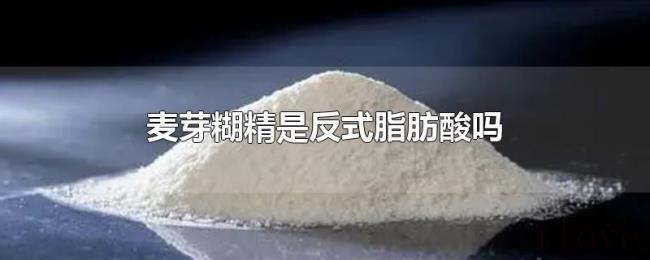 麦芽糊精是反式脂肪酸吗