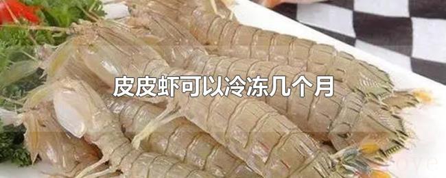 皮皮虾可以冷冻几个月