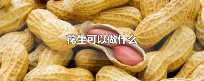 花生可以做什么 花生可以做什么