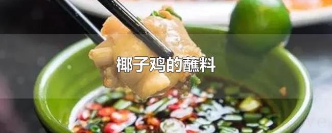 椰子鸡的蘸料 椰子鸡的蘸料