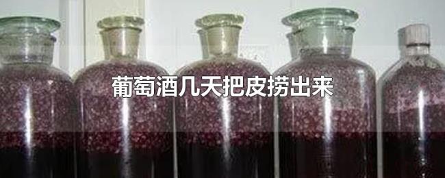 葡萄酒几天把皮捞出来