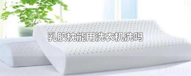 乳胶枕能用洗衣机洗吗