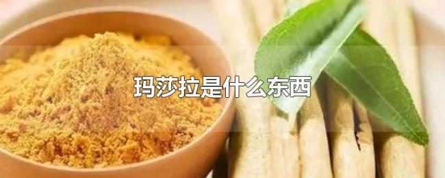 玛莎拉是什么东西 玛莎拉是什么东西
