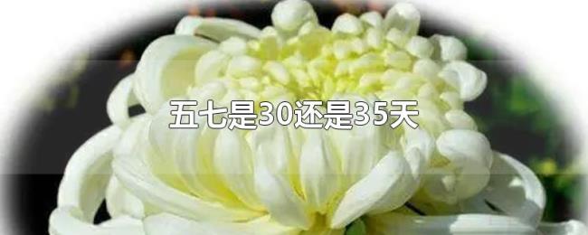 五七是30还是35天 五七是30还是35天