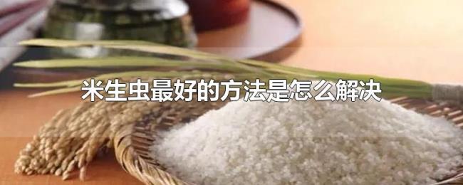 米生虫最好的方法是怎么解决 米生虫最好的方法是怎么解决
