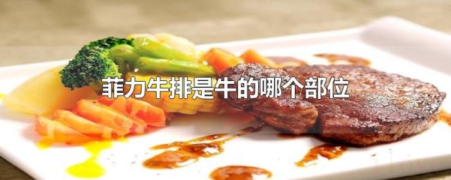 菲力牛排是牛的哪个部位