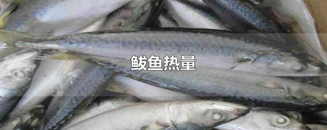 鲅鱼热量