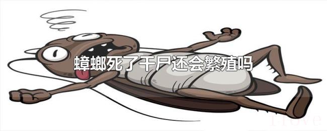 蟑螂死了干尸还会繁殖吗 蟑螂死了干尸还会繁殖吗