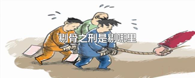 剔骨之刑是剔哪里 剔骨之刑是剔哪里