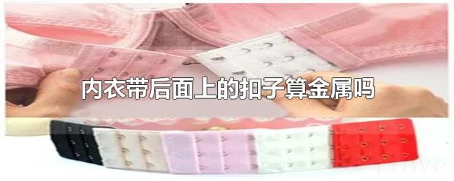 内衣带后面上的扣子算金属吗