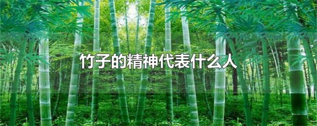 竹子的精神代表什么人