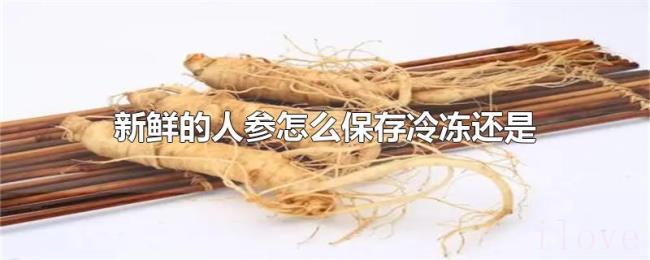 新鲜的人参怎么保存冷冻还是冷藏
