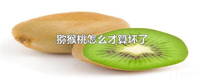 猕猴桃怎么才算坏了