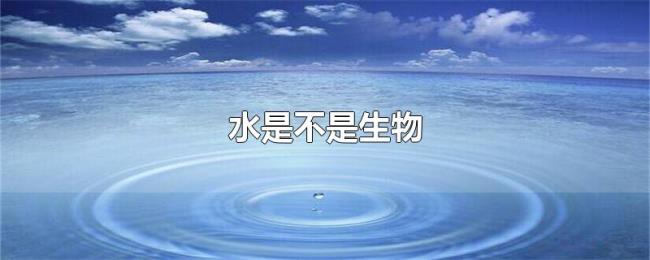 水是不是生物