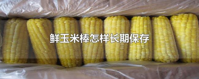 鲜玉米棒怎样长期保存