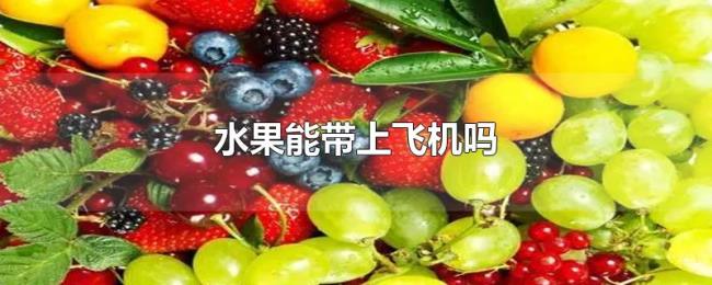 水果能带上飞机吗 水果能带上飞机吗