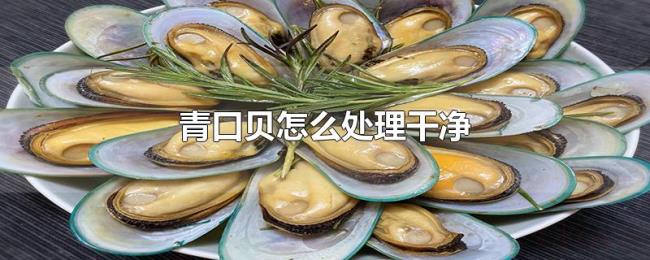 青口贝怎么处理干净