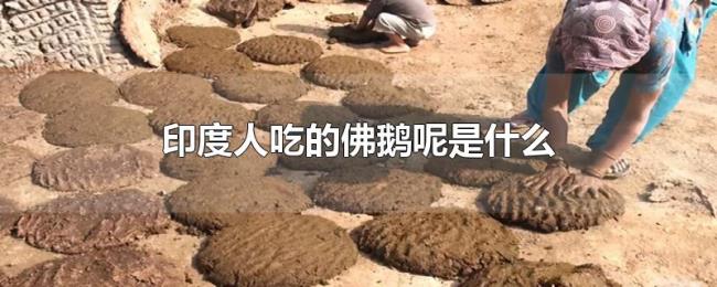印度人吃的佛鹅呢是什么 印度人吃的佛鹅呢是什么