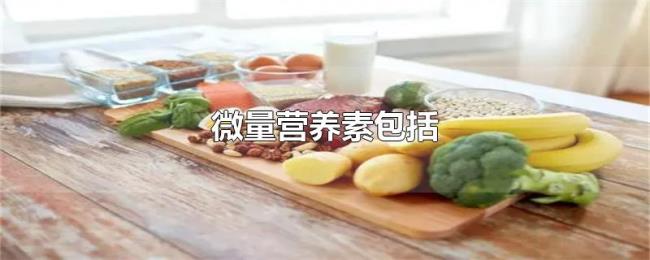 微量营养素包括