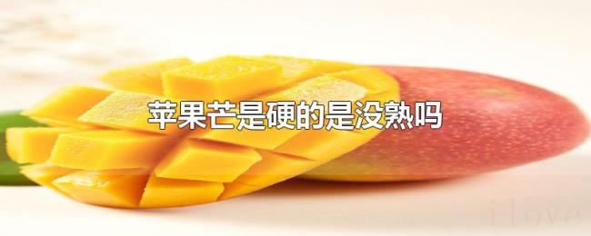 苹果芒是硬的是没熟吗 苹果芒是硬的是没熟吗