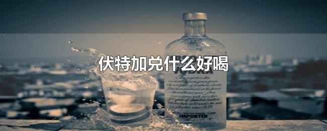 伏特加兑什么好喝